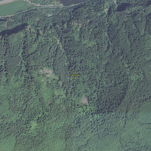 Aerial/Satellite Image of Wahkeena Spring, OR