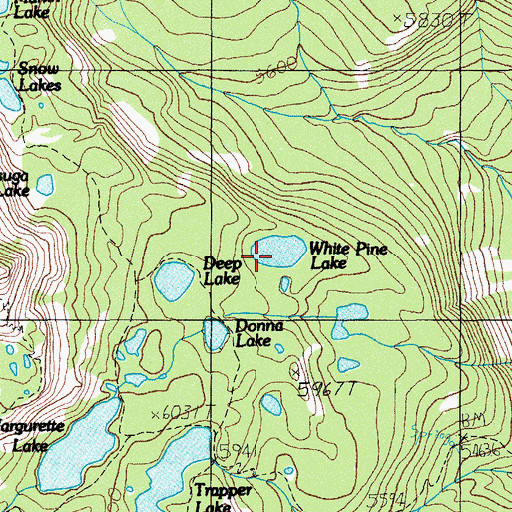 Topographic Map of White Pine Lake, OR