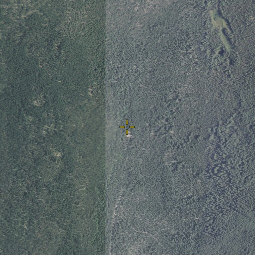 Aerial/Satellite Image of Cold Spring, OR