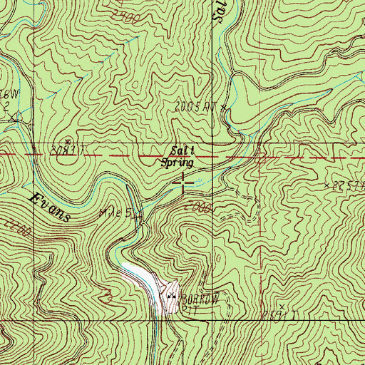 Topographic Map of Salt Spring, OR