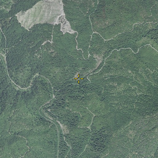 Aerial/Satellite Image of Salt Spring, OR