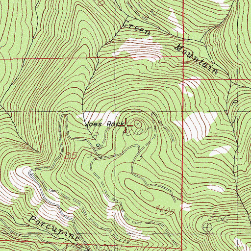 Topographic Map of Joes Rock, OR