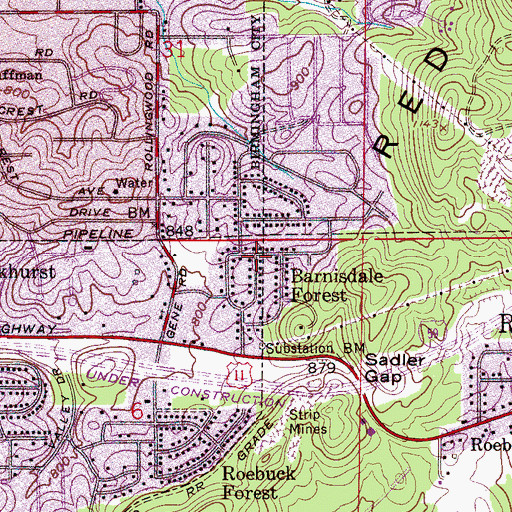Topographic Map of Barnisdale Forest, AL