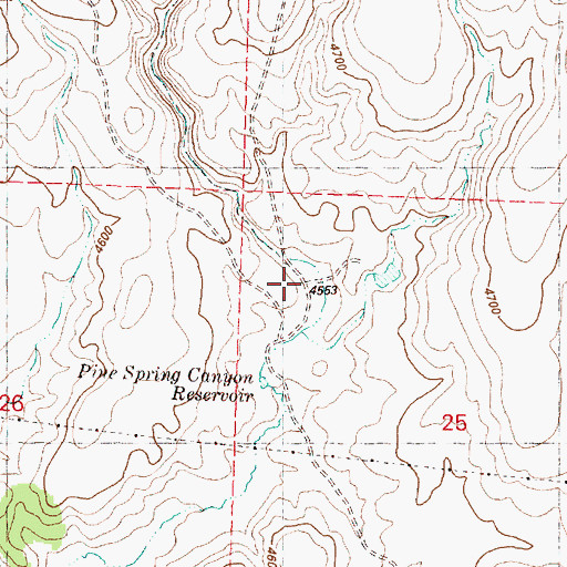 Topographic Map of Pine Spring Canyon, OR