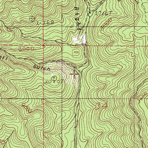 Topographic Map of Rail Gulch, OR