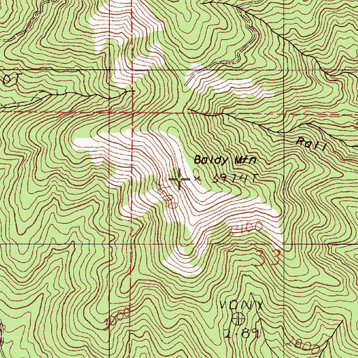 Topographic Map of Baldy Mountain, OR