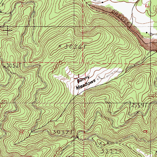 Topographic Map of Bunny Meadows, OR