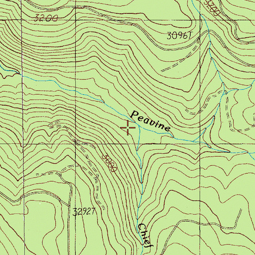 Topographic Map of Chief Creek, OR