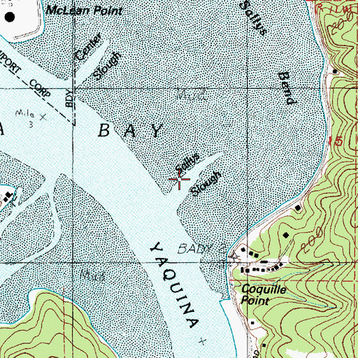 Topographic Map of Sallys Slough, OR