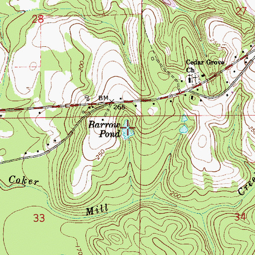 Topographic Map of Barrow Pond, AL
