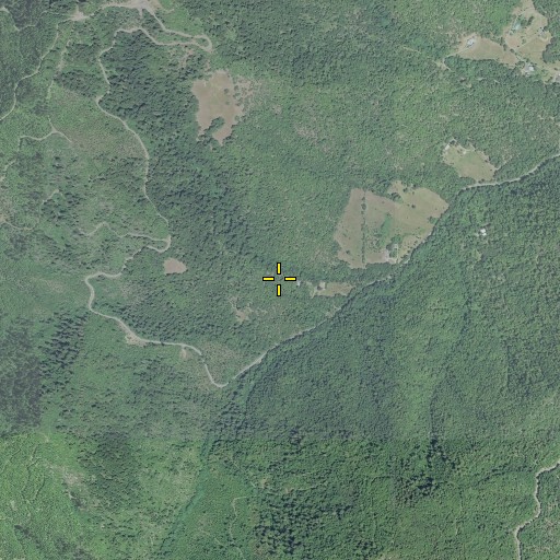 Aerial/Satellite Image of Bear Gulch, OR