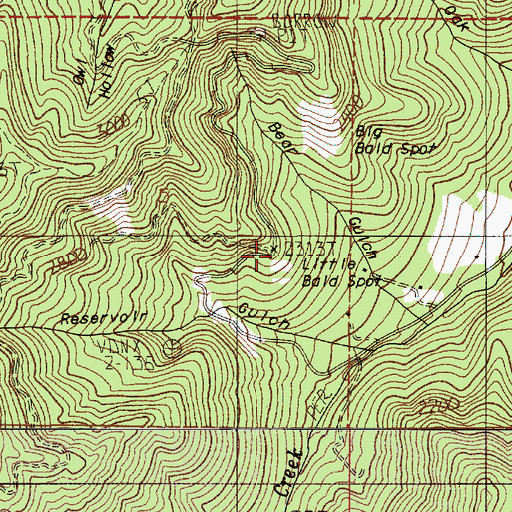 Topographic Map of Little Bald Spot, OR
