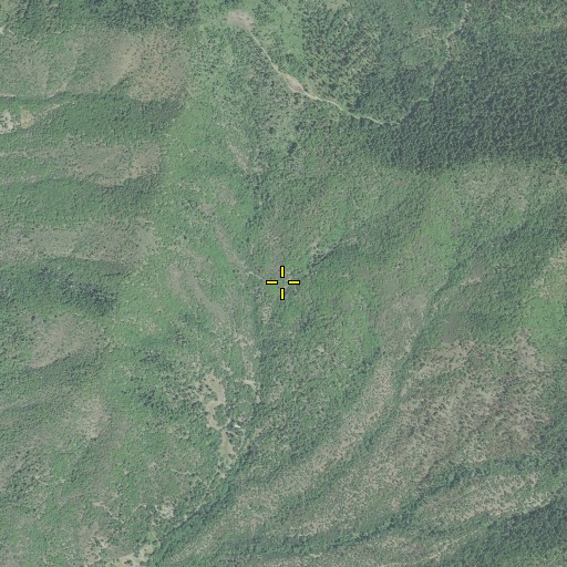 Aerial/Satellite Image of Shady Spring, OR