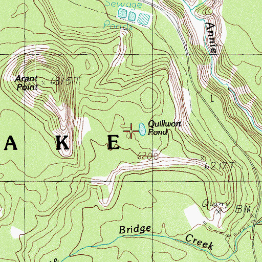 Topographic Map of Quillwort Pond, OR