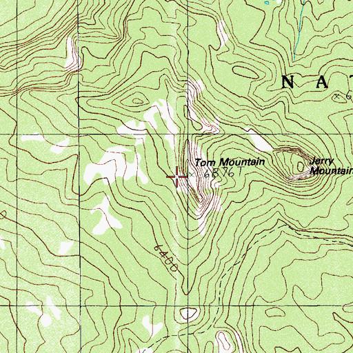 Topographic Map of Tom Mountain, OR
