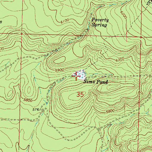 Topographic Map of Sims Pond, AZ