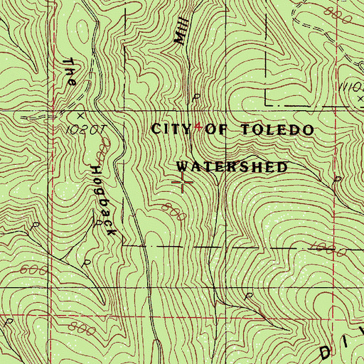 Topographic Map of City of Toledo Watershed, OR