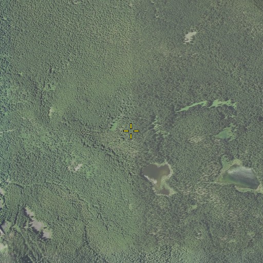 Aerial/Satellite Image of Waldo Meadows, OR