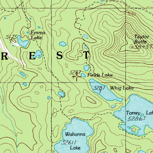 Topographic Map of Fields Lake, OR