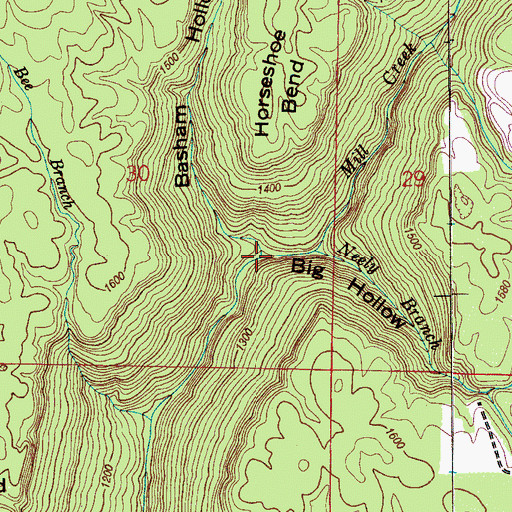 Topographic Map of Basham Hollow, AL