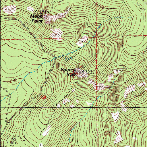 Topographic Map of Youngs Rock, OR