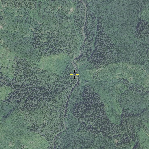 Aerial/Satellite Image of Wanderers Creek, OR