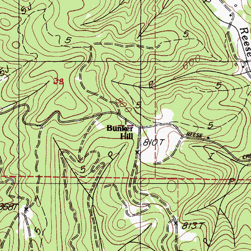 Topographic Map of Bunker Hill, OR