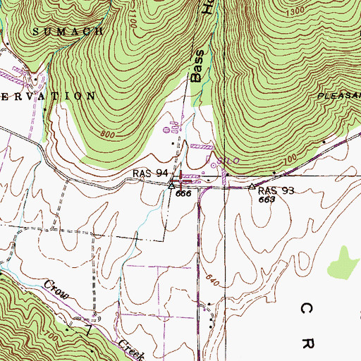 Topographic Map of Bass Hollow, AL