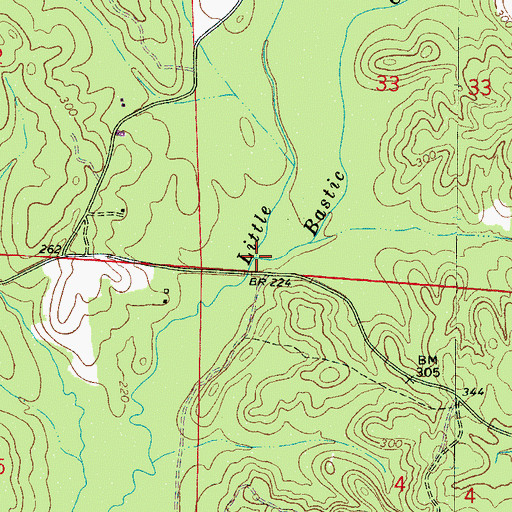 Topographic Map of Bastic Creek, AL