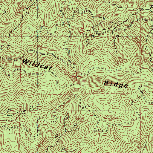 Topographic Map of Wildcat Ridge, OR