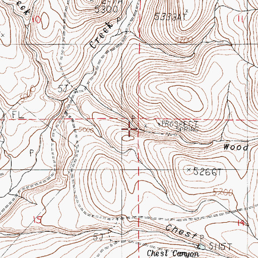 Topographic Map of Wood Canyon, OR