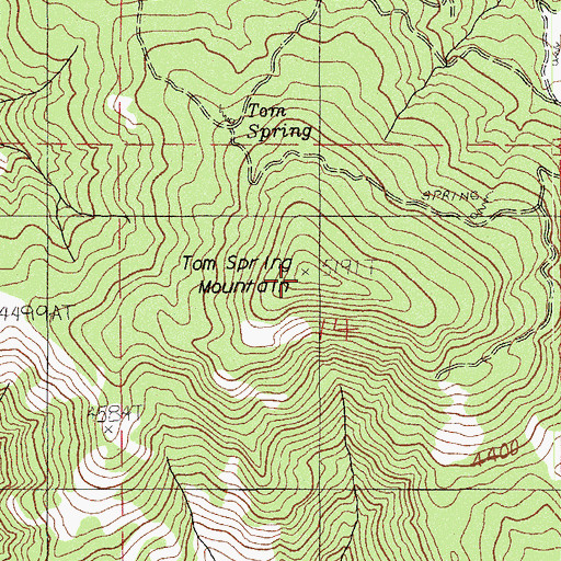 Topographic Map of Tom Spring Mountain, OR