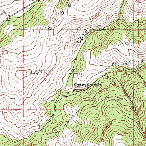 Topographic Map of Rattlesnake Point, OR