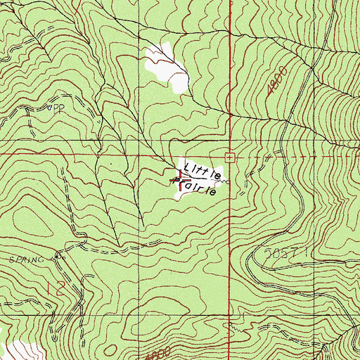 Topographic Map of Little Prairie, OR