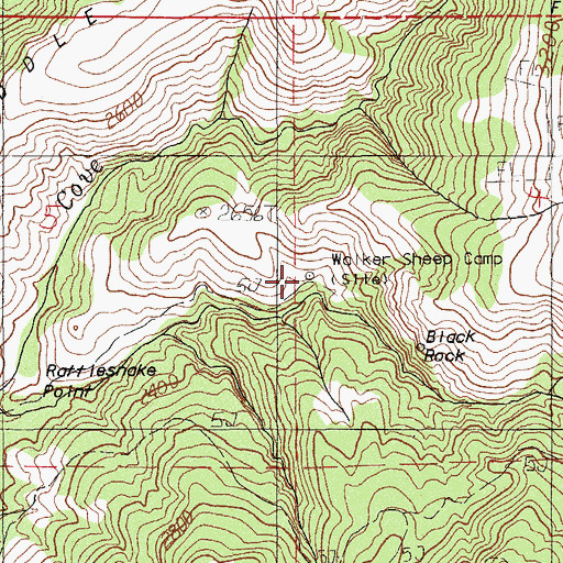 Topographic Map of Walker Sheep Camp, OR
