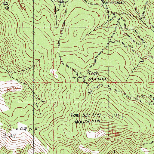 Topographic Map of Tom Spring, OR