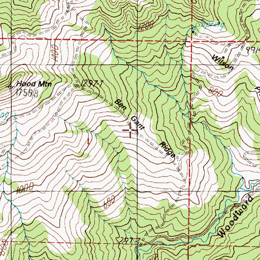 Topographic Map of Ben Grant Ridge, OR