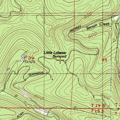 Topographic Map of Little Lobster Summit, OR
