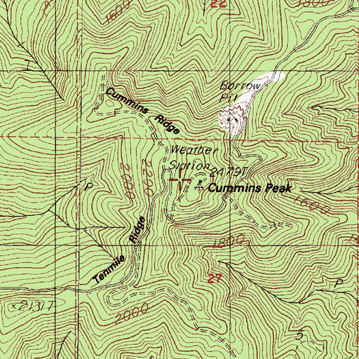 Topographic Map of Cummins Peak Weather Station, OR