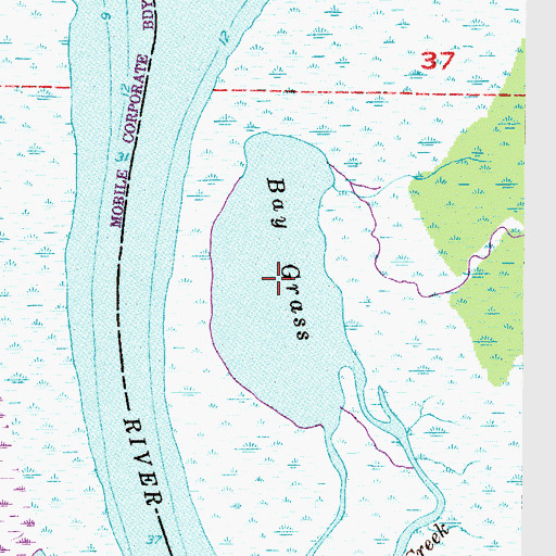 Topographic Map of Bay Grass, AL