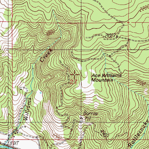 Topographic Map of Ace Williams Mountain, OR