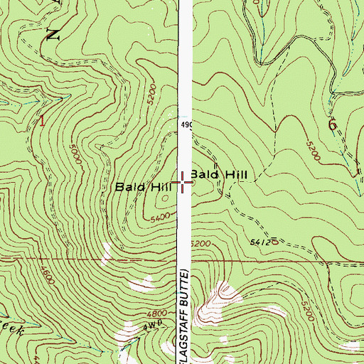Topographic Map of Bald Hill, OR