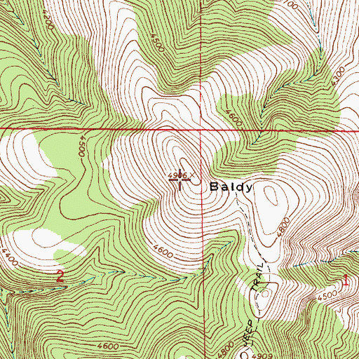Topographic Map of Baldy, OR