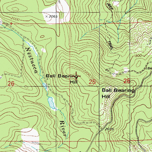 Topographic Map of Ball Bearing Hill, OR