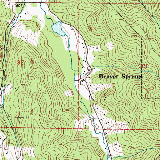 Topographic Map of Beaver Springs, OR