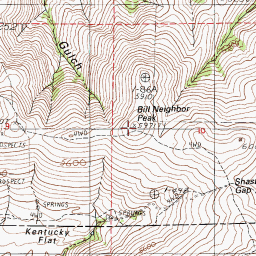 Topographic Map of Bill Neighbor Peak, OR