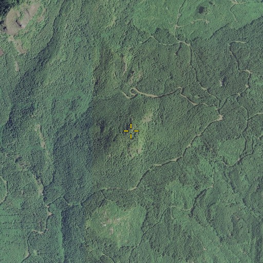 Aerial/Satellite Image of Black Butte, OR