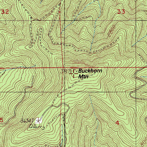 Topographic Map of Buckhorn Mountain, OR