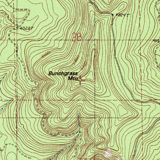 Topographic Map of Bunchgrass Mountain, OR