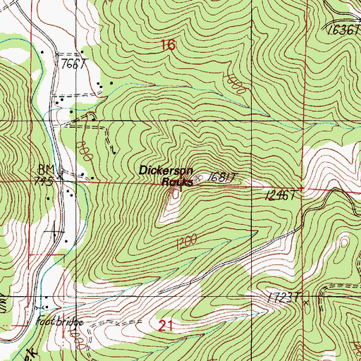 Topographic Map of Dickerson Rocks, OR